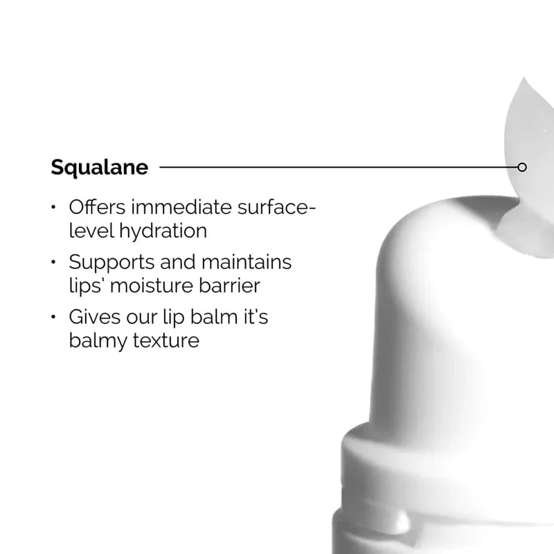 The Ordinary Squalane + Amino Acids Lip Balm 15ml